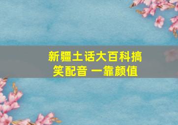 新疆土话大百科搞笑配音 一靠颜值